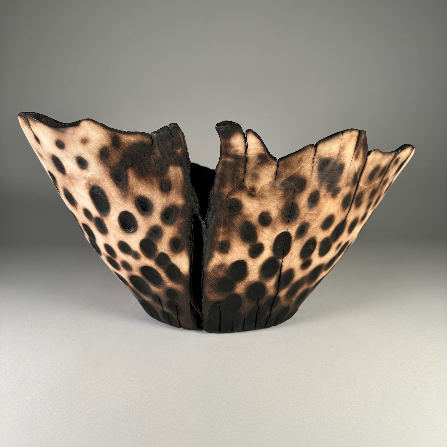 Ash Leopard Bowl