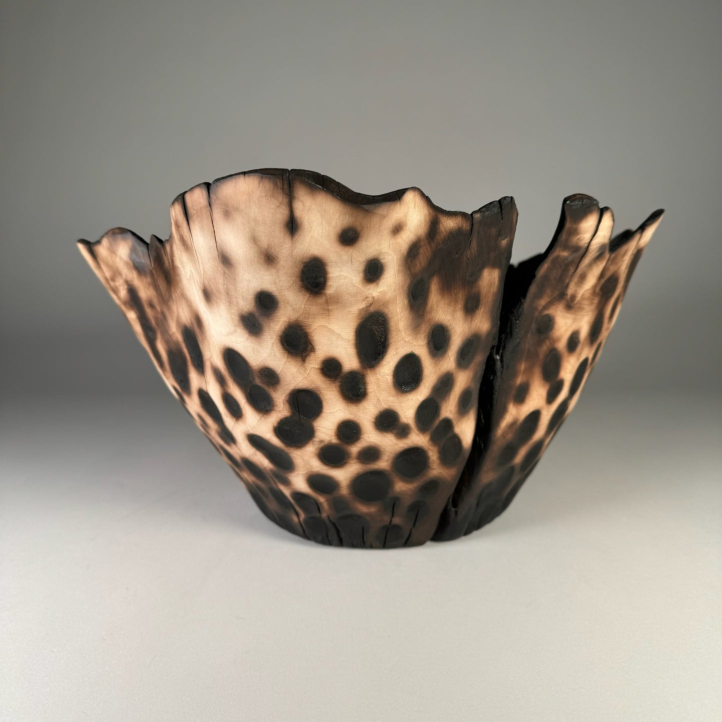 Ash Leopard Bowl