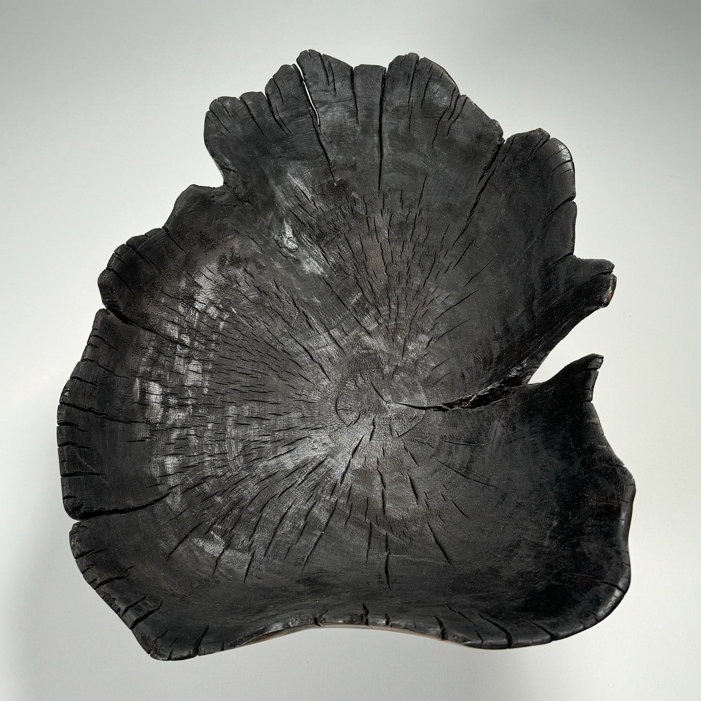 Ash Leopard Bowl