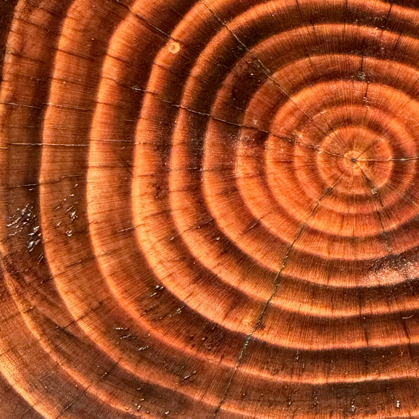 Yakisugi Cedar Wood Centrepiece Bowl