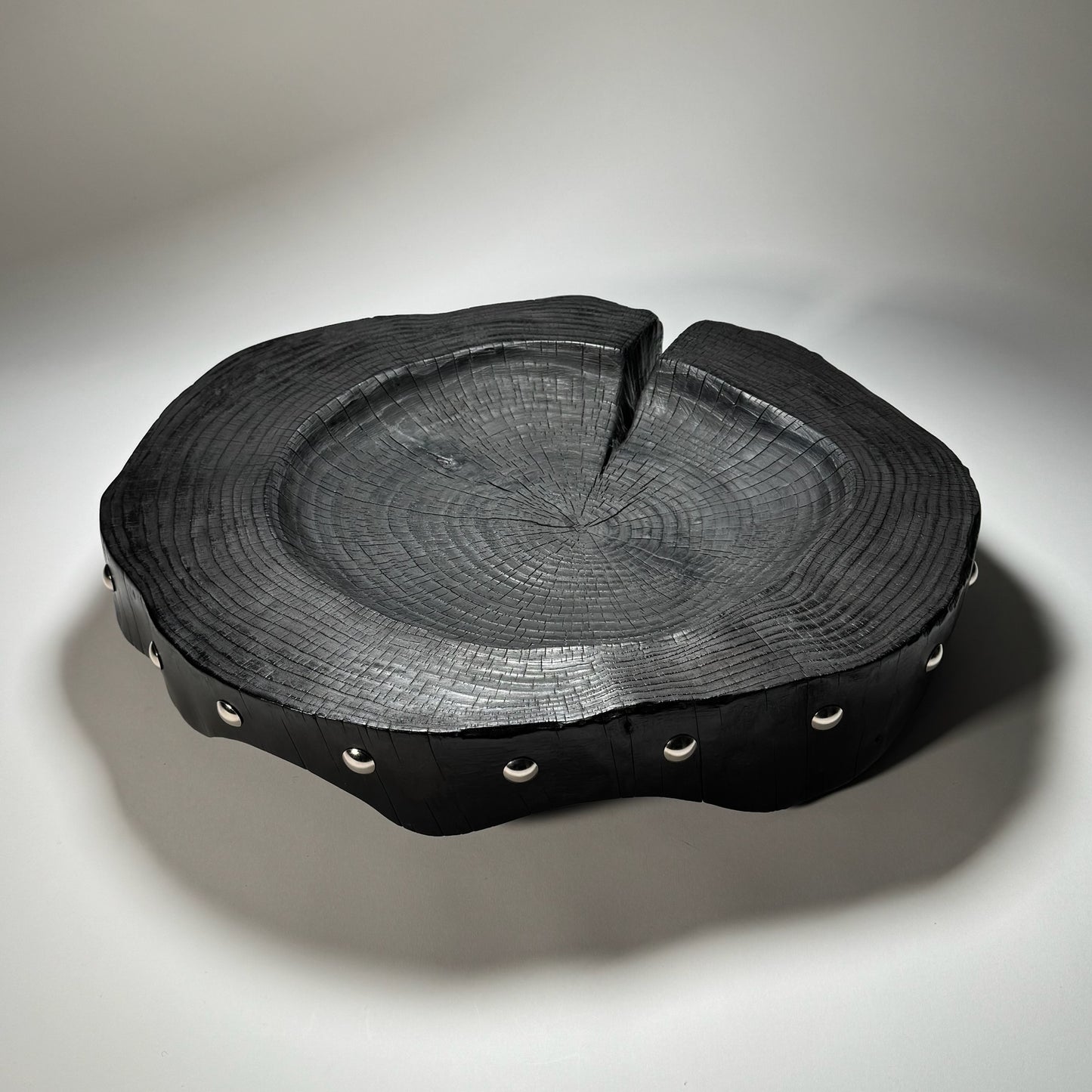 Large Yakisugi Cedar Centrepiece ‘20 Years of Growth’