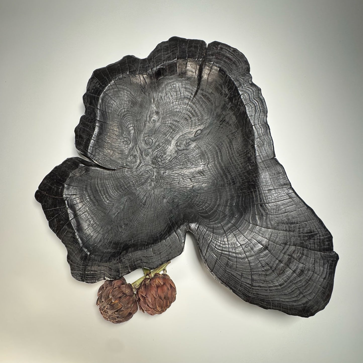 Large Charred Ash Trencher