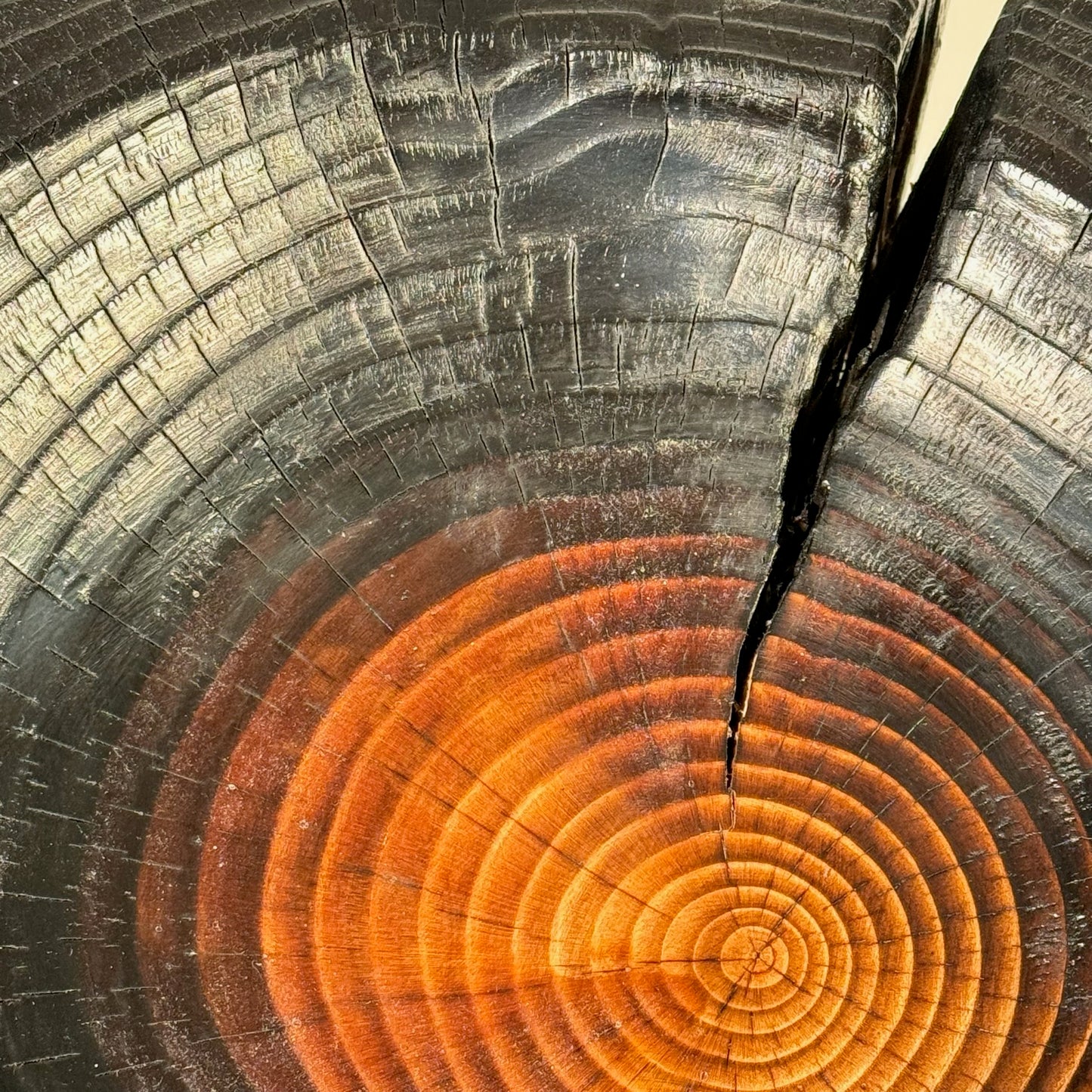 Yakisugi Cedar Wood Bowl
