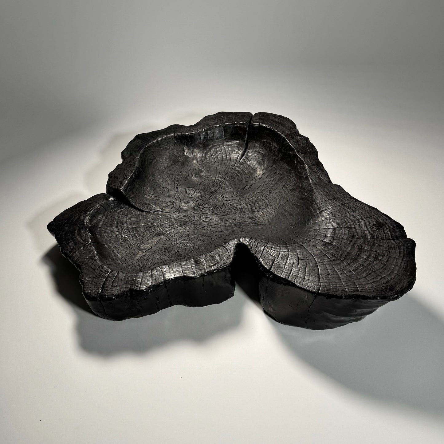 Large Charred Ash Trencher