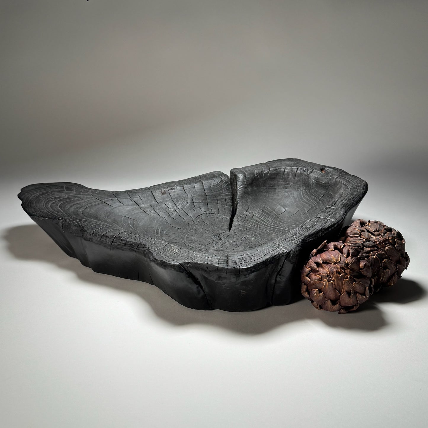 Charred Ash Trencher