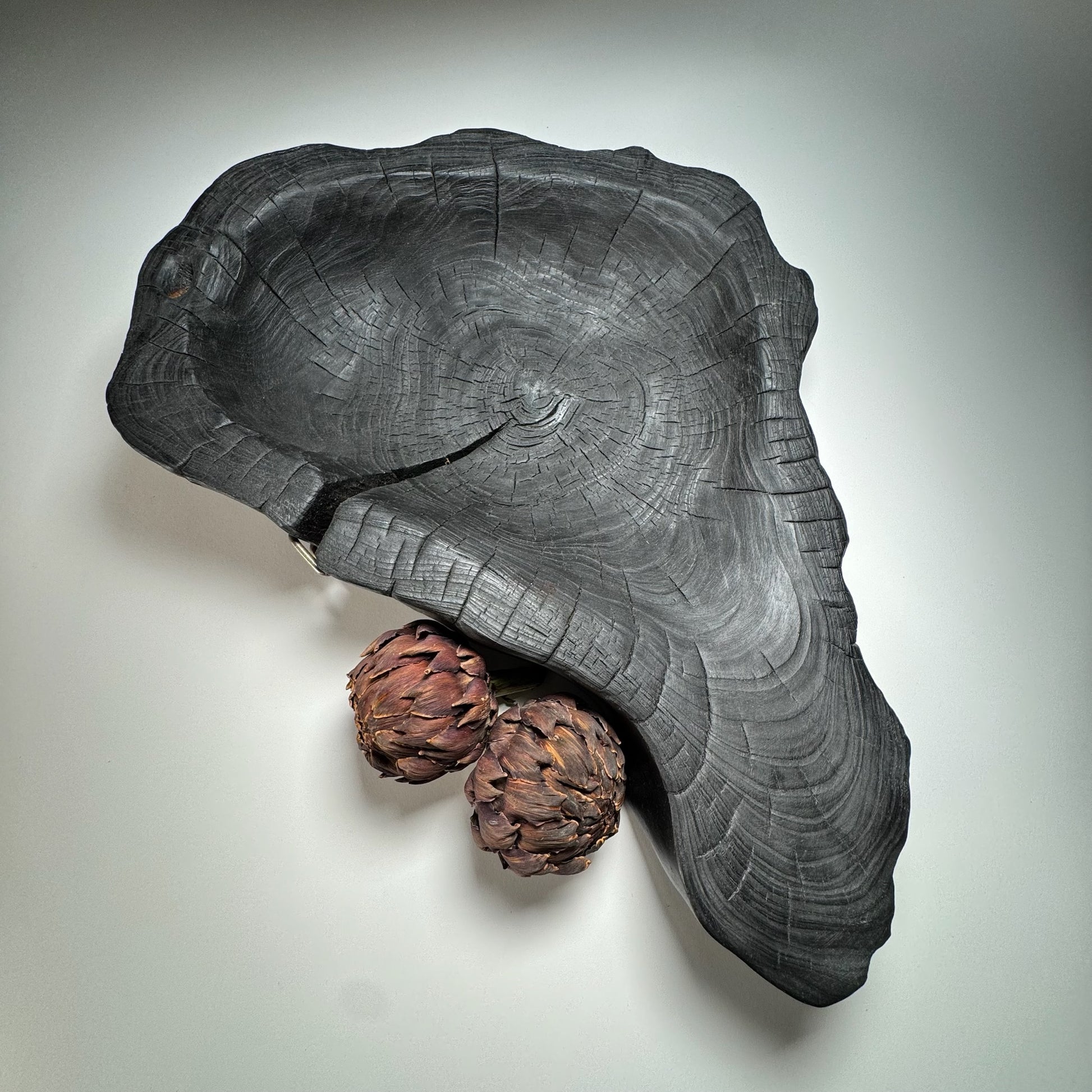 Wooden bowl carved from a tree trunk with two pinecones on a light gray background